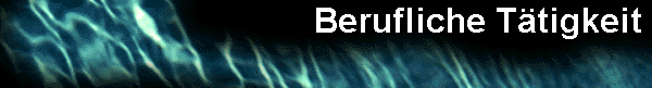  Berufliche T�tigkeit 