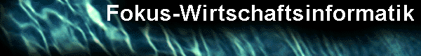  Fokus-Wirtschaftsinformatik 