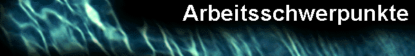  Arbeitsschwerpunkte 
